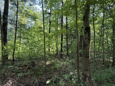 Here is your private dream property next to popular Stonegate on Stonegate Golf Club in Michigan - for sale on GolfHomes.com, golf home, golf lot