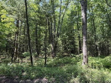 Here is your private dream property next to popular Stonegate on Stonegate Golf Club in Michigan - for sale on GolfHomes.com, golf home, golf lot