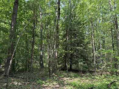 Here is your private dream property next to popular Stonegate on Stonegate Golf Club in Michigan - for sale on GolfHomes.com, golf home, golf lot