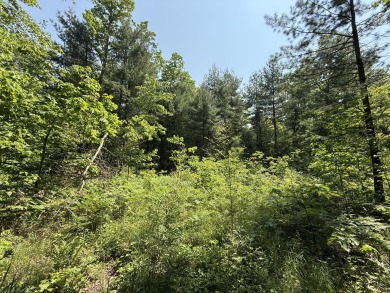 Here is your private dream property next to popular Stonegate on Stonegate Golf Club in Michigan - for sale on GolfHomes.com, golf home, golf lot