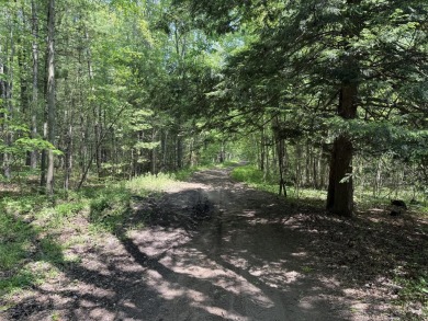 Here is your private dream property next to popular Stonegate on Stonegate Golf Club in Michigan - for sale on GolfHomes.com, golf home, golf lot