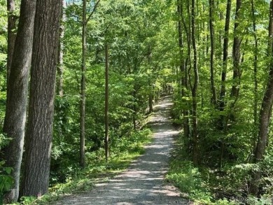 Welcome to 2 Dias Ln., a beautifully maintained 3bd, 2bth, home on Cortez Golf Course in Arkansas - for sale on GolfHomes.com, golf home, golf lot