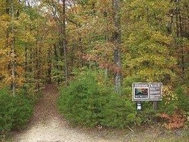 Beautiful 6.9 Level Acres of serenity and beauty in Lookout on McLemore Golf Club in Georgia - for sale on GolfHomes.com, golf home, golf lot