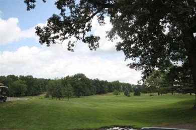 Discover the allure of Hankerd Hills - where the beauty of a on Hankerd Hills Golf Course in Michigan - for sale on GolfHomes.com, golf home, golf lot