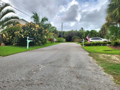 Coastal living at its best!! Beautiful fully cleared residential on Aquarina Beach and Country Club in Florida - for sale on GolfHomes.com, golf home, golf lot