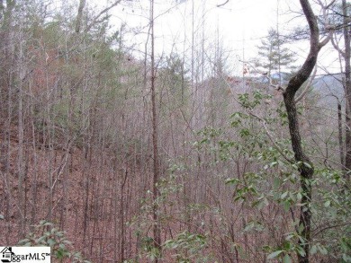 Building lot with mountain views in a golf course community on The Rock At Jocassee in South Carolina - for sale on GolfHomes.com, golf home, golf lot