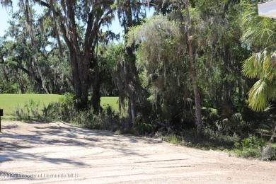 This magnificent home built by Spire Homes will be completed Nov on Southern Hills Plantation Club in Florida - for sale on GolfHomes.com, golf home, golf lot