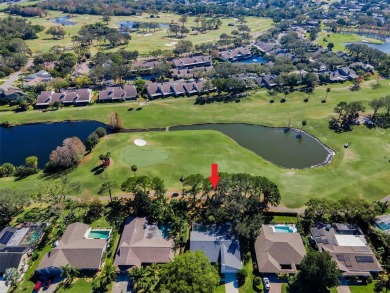 One or more photo(s) has been virtually staged. PREMIER GOLF on Countryside Country Club in Florida - for sale on GolfHomes.com, golf home, golf lot