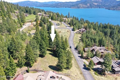 BEAUTIFUL LAKE VIEW LOT AT PRESTIGIOUS BLACK ROCK. A gently on The Golf Club at Black Rock in Idaho - for sale on GolfHomes.com, golf home, golf lot