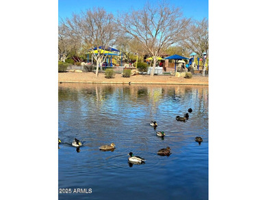 Stunning Remodeled Home in Anthem Country Club!! Walk up through on Anthem Golf and Country Club  in Arizona - for sale on GolfHomes.com, golf home, golf lot