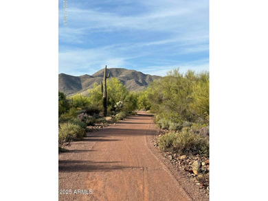 Stunning Remodeled Home in Anthem Country Club!! Walk up through on Anthem Golf and Country Club  in Arizona - for sale on GolfHomes.com, golf home, golf lot