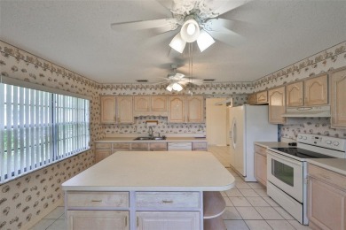 GREAT INVESTMENT OPPORTUNITY - FIXER UPPER IN SUN CITY CENTER! on Caloosa Greens Executive Golf Course in Florida - for sale on GolfHomes.com, golf home, golf lot