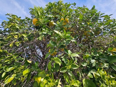 This home is in like-new condition, boasting a brand-new roof on Viewpoint Golf Resort in Arizona - for sale on GolfHomes.com, golf home, golf lot