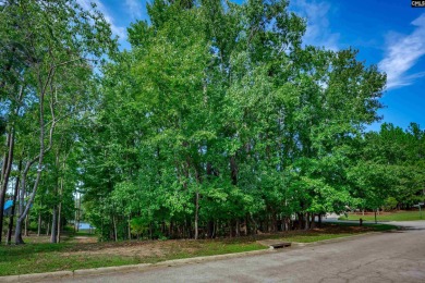 Welcome to the site of your dream home in Timberlake Estates on Timberlake Country Club in South Carolina - for sale on GolfHomes.com, golf home, golf lot