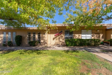 Beautifully Updated Patio Home in Cameo Palms, Sun City!
 on Sun City Lakes West and East in Arizona - for sale on GolfHomes.com, golf home, golf lot