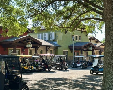 Better-Than-New Home on the 11th Tee in the Gated 55+ Golf on Arlington Ridge Golf Club in Florida - for sale on GolfHomes.com, golf home, golf lot