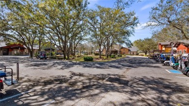 Better-Than-New Home on the 11th Tee in the Gated 55+ Golf on Arlington Ridge Golf Club in Florida - for sale on GolfHomes.com, golf home, golf lot