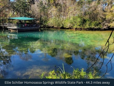 Prime Location! Corner Lot! Located at the corner of SE 142nd on Eagle Ridge At Spruce Creek Country Club in Florida - for sale on GolfHomes.com, golf home, golf lot