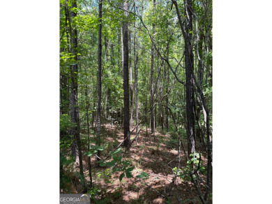 SEIZE THE OPPORTUNITY TO OWN A REMARKABLE 1.91-ACRE LOT IN THE on The Club River Forest in Georgia - for sale on GolfHomes.com, golf home, golf lot