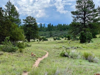 Don Bailey, Berkshire Hathaway HomeServices Colorado Properties on The Divide Ranch and Club in Colorado - for sale on GolfHomes.com, golf home, golf lot