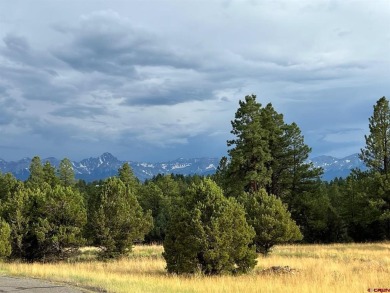 Don Bailey, Berkshire Hathaway HomeServices Colorado Properties on The Divide Ranch and Club in Colorado - for sale on GolfHomes.com, golf home, golf lot