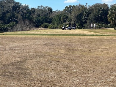 Located in a well-established 55+ community in Ocala, this on Country Club At Silver Springs Shores in Florida - for sale on GolfHomes.com, golf home, golf lot