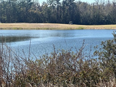 Located in a well-established 55+ community in Ocala, this on Country Club At Silver Springs Shores in Florida - for sale on GolfHomes.com, golf home, golf lot