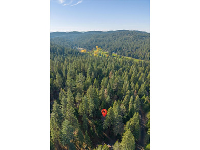 The description of this mountain lodge offers a comprehensive on Sequoia Woods Country Club in California - for sale on GolfHomes.com, golf home, golf lot