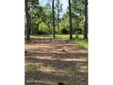 LOCATION! LOCATION! LOCATION! Do you want to be able to walk to on Members Club At St. James Plantation in North Carolina - for sale on GolfHomes.com, golf home, golf lot