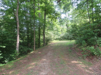 Undeveloped lot # 15 on the Beautiful Indian Springs Country on Indian Springs Golf and Country Club in Kentucky - for sale on GolfHomes.com, golf home, golf lot
