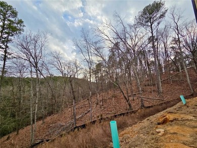 This Maintenance Free Home will be Move in Ready April 2026 on The Highlands Course at Lake Arrowhead in Georgia - for sale on GolfHomes.com, golf home, golf lot