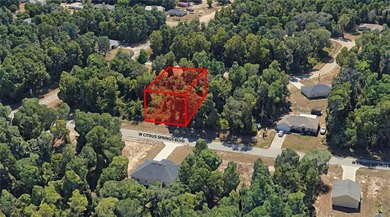 24-acre vacant residential lot located on a paved road in the on Citrus Springs Country Club in Florida - for sale on GolfHomes.com, golf home, golf lot