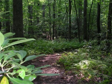 This Maintenance Free Home will be Move in Ready April 2026 on The Highlands Course at Lake Arrowhead in Georgia - for sale on GolfHomes.com, golf home, golf lot