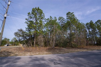 Oversized .33-acre vacant residential lot located on a paved on Citrus Springs Country Club in Florida - for sale on GolfHomes.com, golf home, golf lot