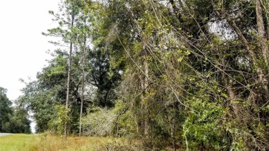 Nice elevation. High & Dry !!!  NO HOA Rules & NO HOA fees $$$ on Citrus Springs Country Club in Florida - for sale on GolfHomes.com, golf home, golf lot