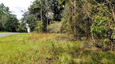 Nice elevation. High & Dry !!!  NO HOA Rules & NO HOA fees $$$ on Citrus Springs Country Club in Florida - for sale on GolfHomes.com, golf home, golf lot