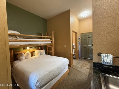 Incredible Investment Opportunity at Wilderness at the Smokies on Sevierville Golf Club in Tennessee - for sale on GolfHomes.com, golf home, golf lot