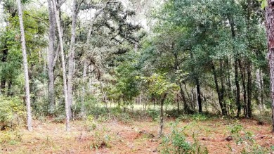 Nice elevation. High & Dry !!!  NO HOA Rules & NO HOA fees $$$ on Citrus Springs Country Club in Florida - for sale on GolfHomes.com, golf home, golf lot