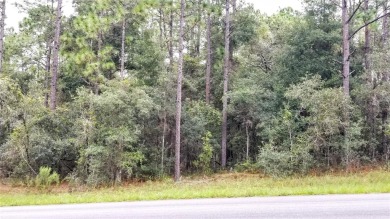 Nice elevation. High & Dry !!!  NO HOA Rules & NO HOA fees $$$ on Citrus Springs Country Club in Florida - for sale on GolfHomes.com, golf home, golf lot