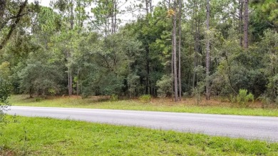 Nice elevation. High & Dry !!!  NO HOA Rules & NO HOA fees $$$ on Citrus Springs Country Club in Florida - for sale on GolfHomes.com, golf home, golf lot