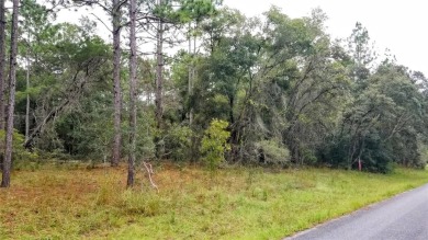 Nice elevation. High & Dry !!!  NO HOA Rules & NO HOA fees $$$ on Citrus Springs Country Club in Florida - for sale on GolfHomes.com, golf home, golf lot