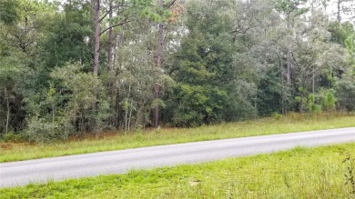 Nice elevation. High & Dry !!!  NO HOA Rules & NO HOA fees $$$ on Citrus Springs Country Club in Florida - for sale on GolfHomes.com, golf home, golf lot