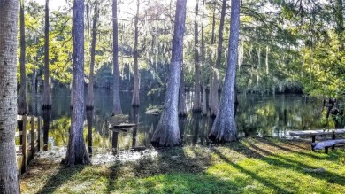 Nice elevation. High & Dry !!!  NO HOA Rules & NO HOA fees $$$ on Citrus Springs Country Club in Florida - for sale on GolfHomes.com, golf home, golf lot