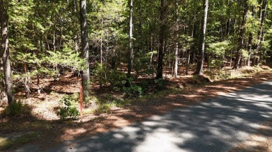 Welcome to Indian Creek Estates, a charming waterfront-access on Indian Creek Yacht and Country Club in Virginia - for sale on GolfHomes.com, golf home, golf lot