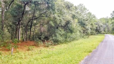 Nice elevation. NO HOA Rules & NO HOA fees $$$  NOT in a FLOOD on Citrus Springs Country Club in Florida - for sale on GolfHomes.com, golf home, golf lot
