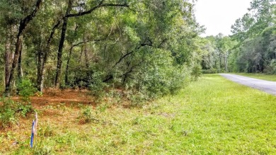 Nice elevation. NO HOA Rules & NO HOA fees $$$  NOT in a FLOOD on Citrus Springs Country Club in Florida - for sale on GolfHomes.com, golf home, golf lot