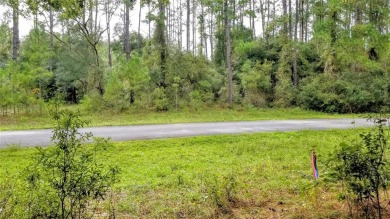 Nice elevation. NO HOA Rules & NO HOA fees $$$  NOT in a FLOOD on Citrus Springs Country Club in Florida - for sale on GolfHomes.com, golf home, golf lot