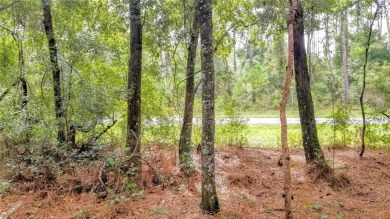 Nice elevation. NO HOA Rules & NO HOA fees $$$  NOT in a FLOOD on Citrus Springs Country Club in Florida - for sale on GolfHomes.com, golf home, golf lot