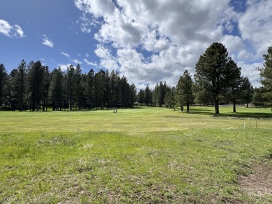 Gorgeous Golf Course frontage lot in MeadowCreek Golf Resort on Meadowcreek Golf Resort in Idaho - for sale on GolfHomes.com, golf home, golf lot