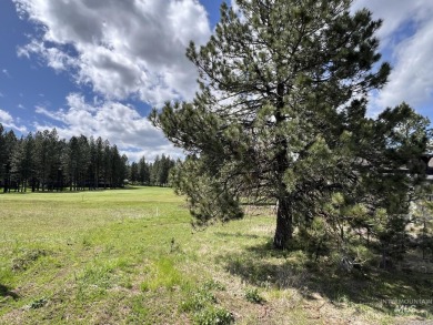 Gorgeous Golf Course frontage lot in MeadowCreek Golf Resort on Meadowcreek Golf Resort in Idaho - for sale on GolfHomes.com, golf home, golf lot